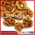 New Harvested High Quality Walnut in Shell